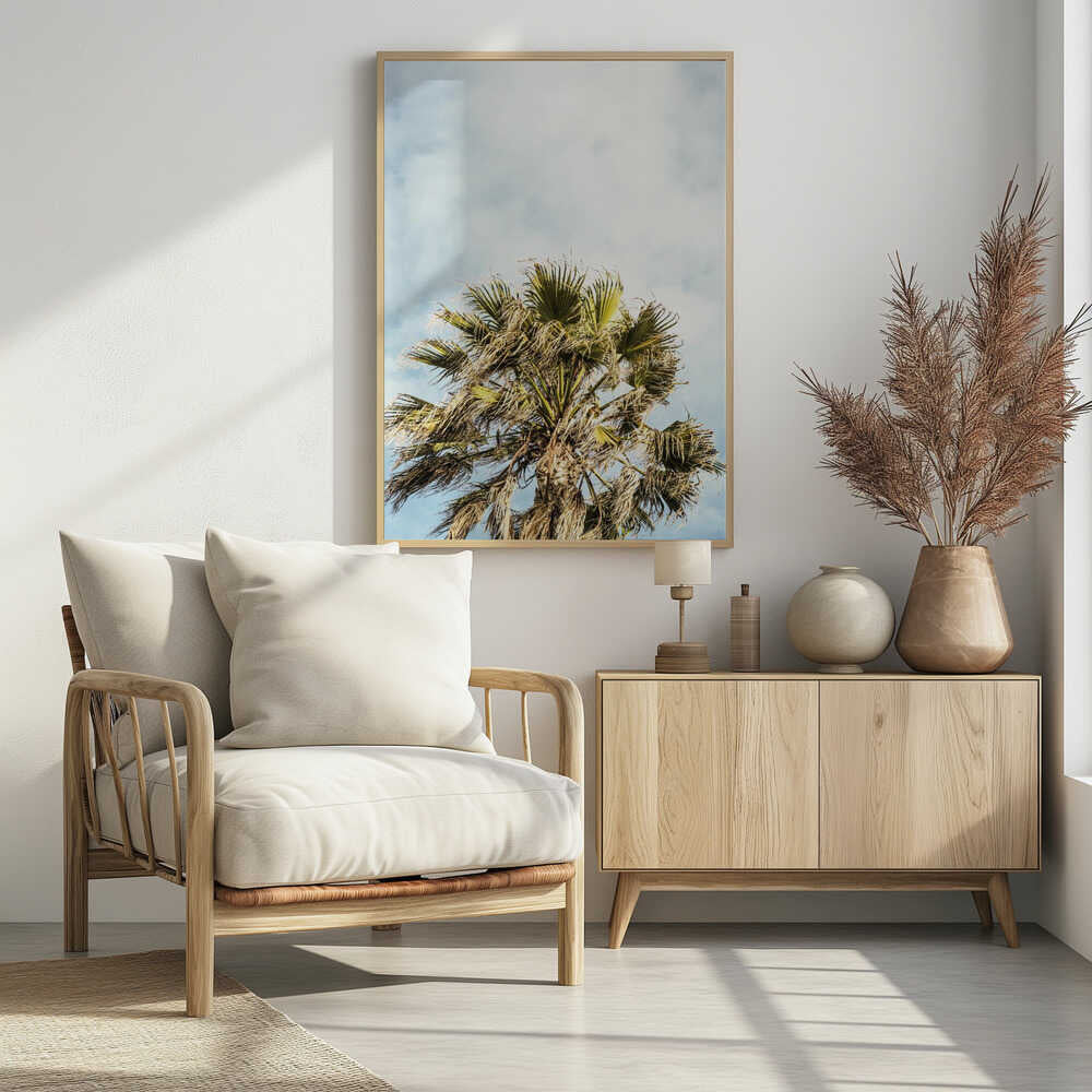 Sunlit Fronds Poster