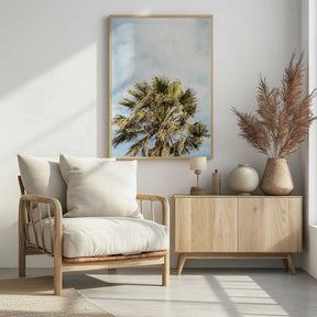 Sunlit Fronds Poster