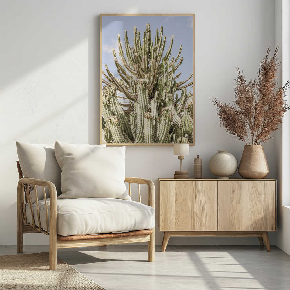 Cactus Symphony Poster