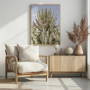 Cactus Symphony Poster