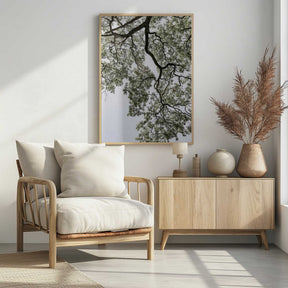 Ethereal Canopy Poster
