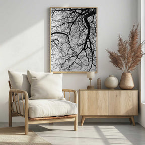Branches' Dance Poster
