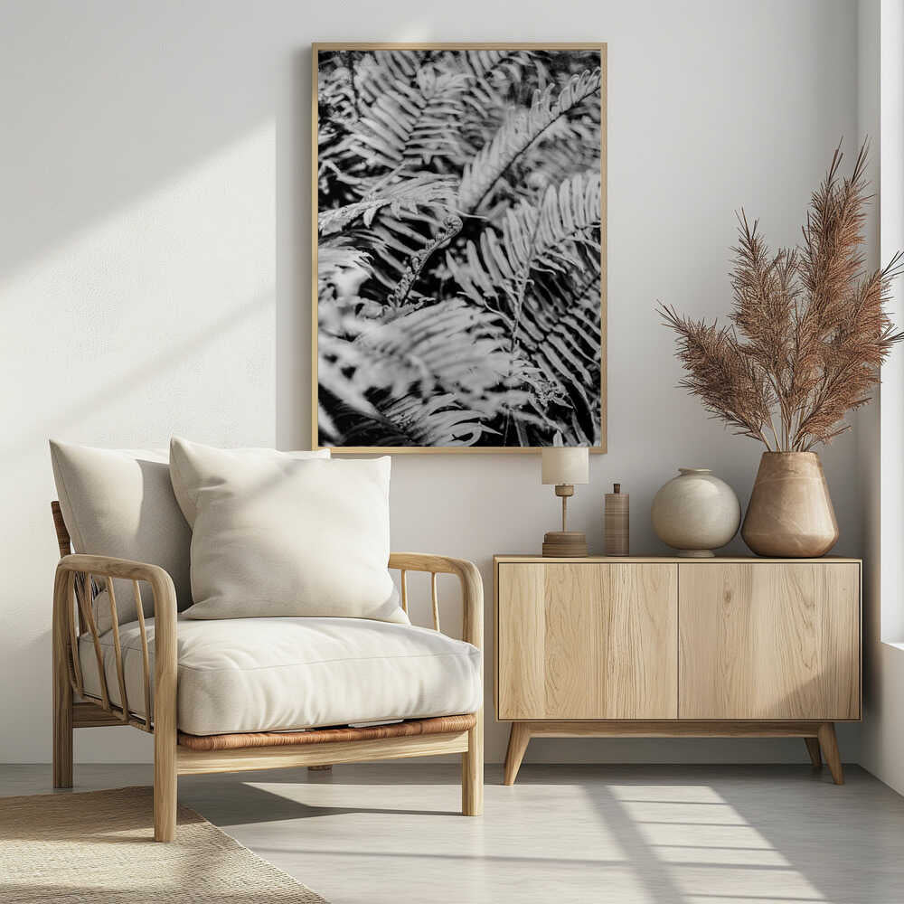 Whispering Ferns Poster