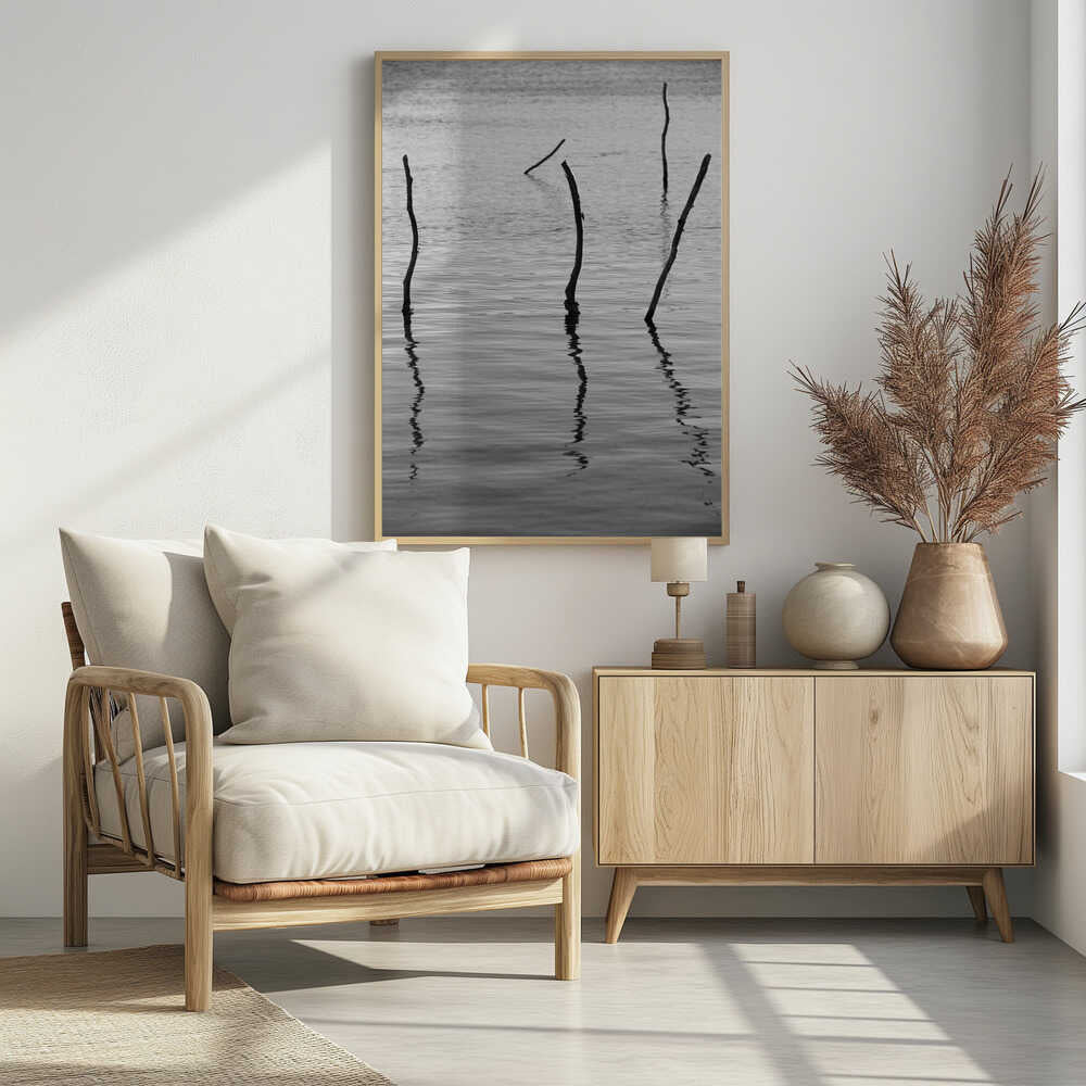 Silent Reflections Poster