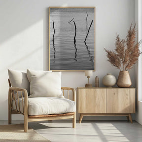 Silent Reflections Poster