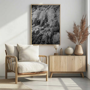 Black And White Photograph Poster