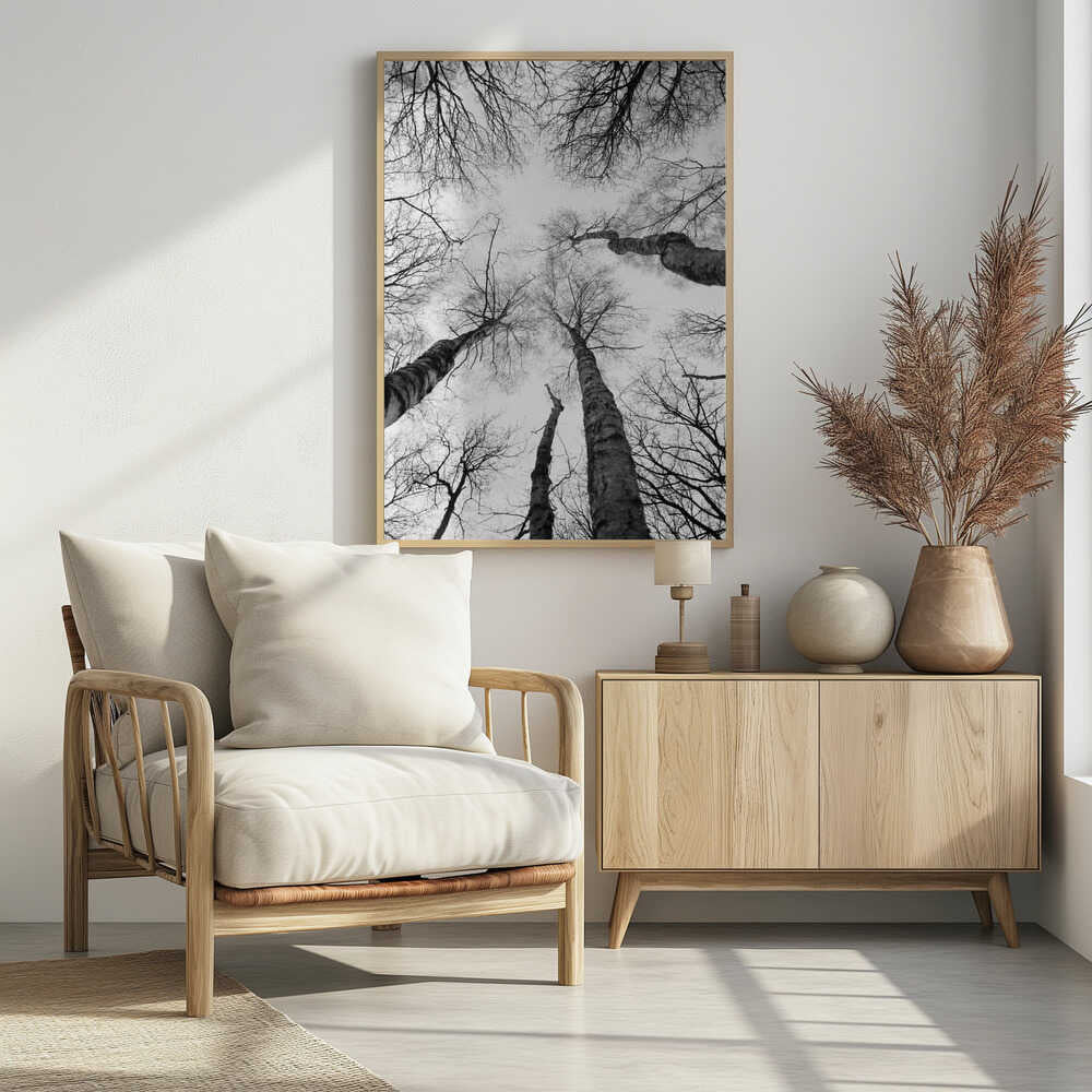 Reaching Branches Poster