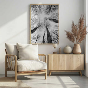Reaching Branches Poster