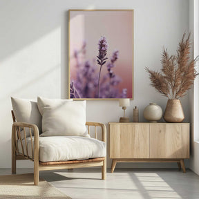 Lavender Serenity Poster