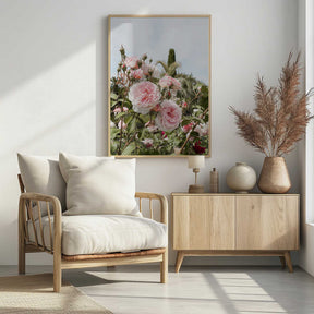 Garden Roses Poster