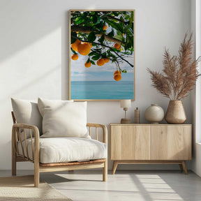 Amalfi Coast Oranges IV Poster