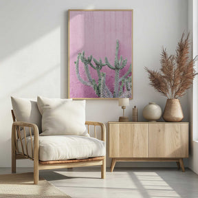 Cactus On Pink Poster