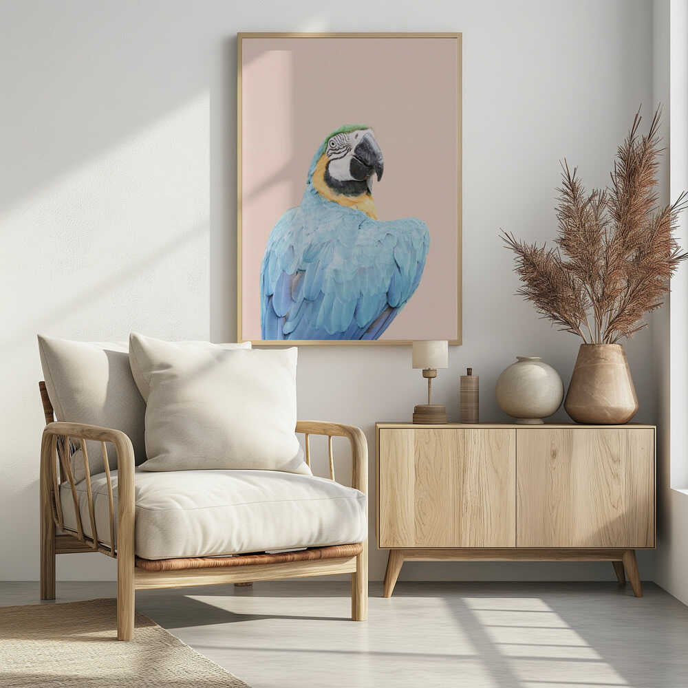Blue Macaw Poster