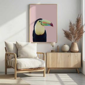 Toucan on Pink Poster