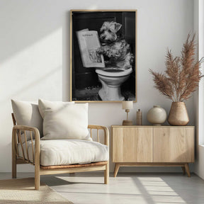 Doggy Doing A Doo Doo Poster