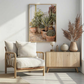 Garden with Various Potted Succulents and Cacti Poster