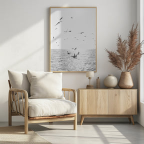 Seagulls At Sea Poster