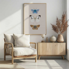 English Butterlies 2 Poster