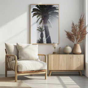 Palm Trees Poster
