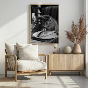 Curious Catch Poster