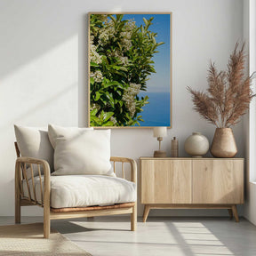 Amalfi Coast Flowers IV on Film Poster