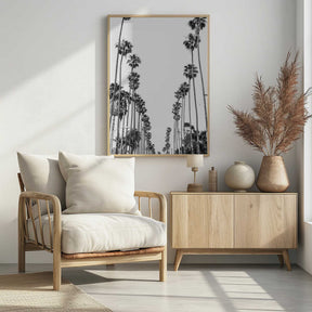 Palm Alley Poster