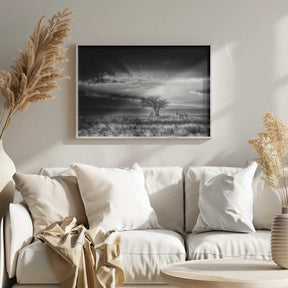 sunrise with hartebeest Poster