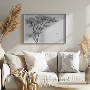 the African eagle Poster