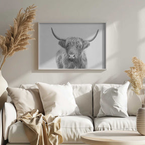 Highland Bull Poster