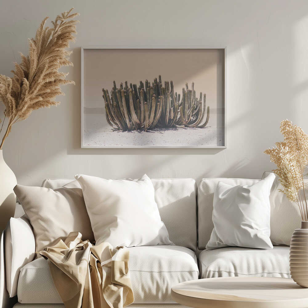 Peach Sky Cactus Poster