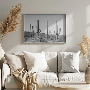 Grey Cactus Land Poster