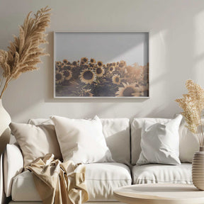 Sunflowers Poster