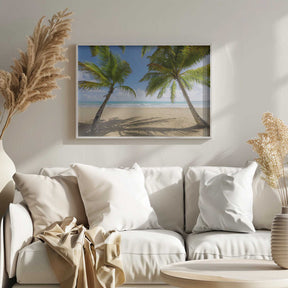 Palmy Beach Poster