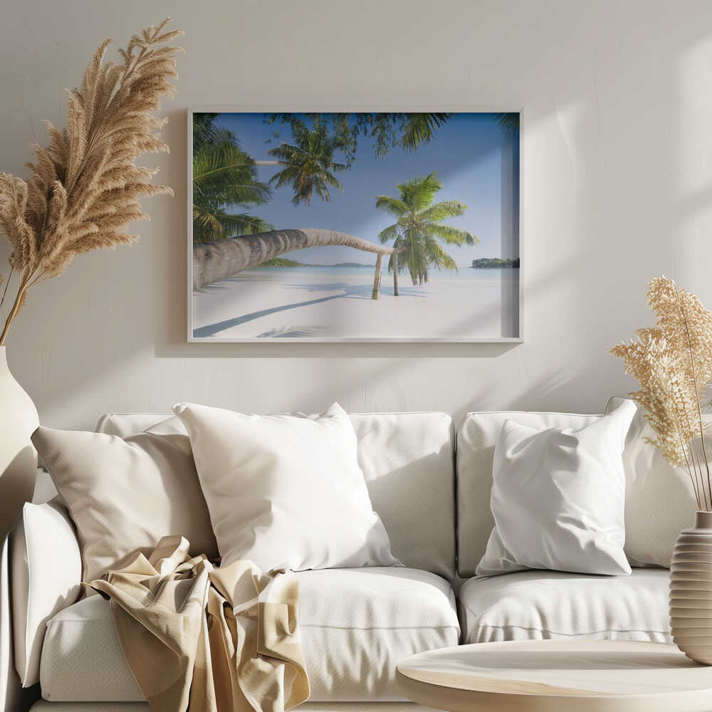 Tropical Palm Poster