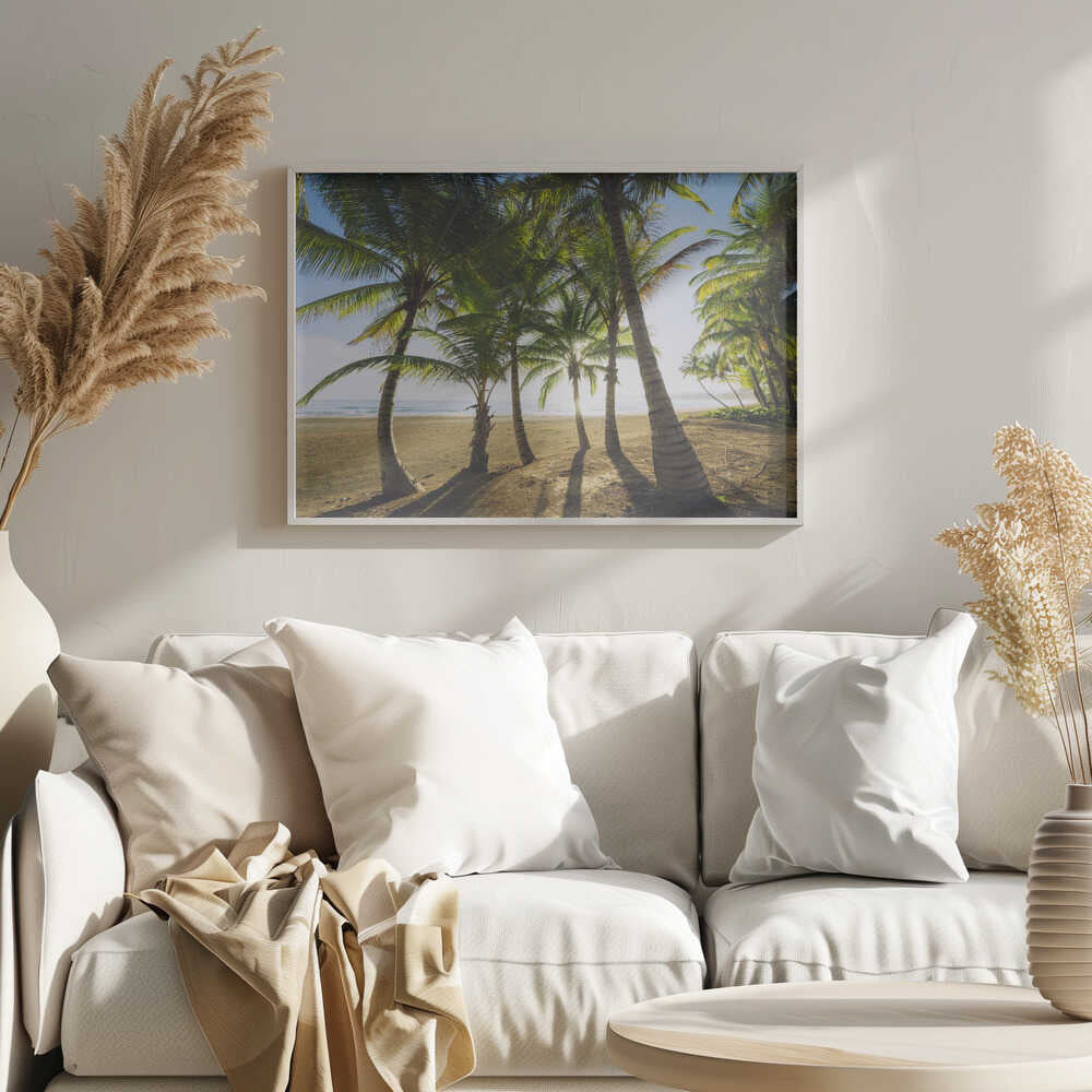 Tropical Morning Poster