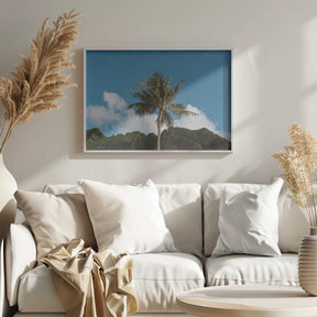 Hawaiian Palm Poster