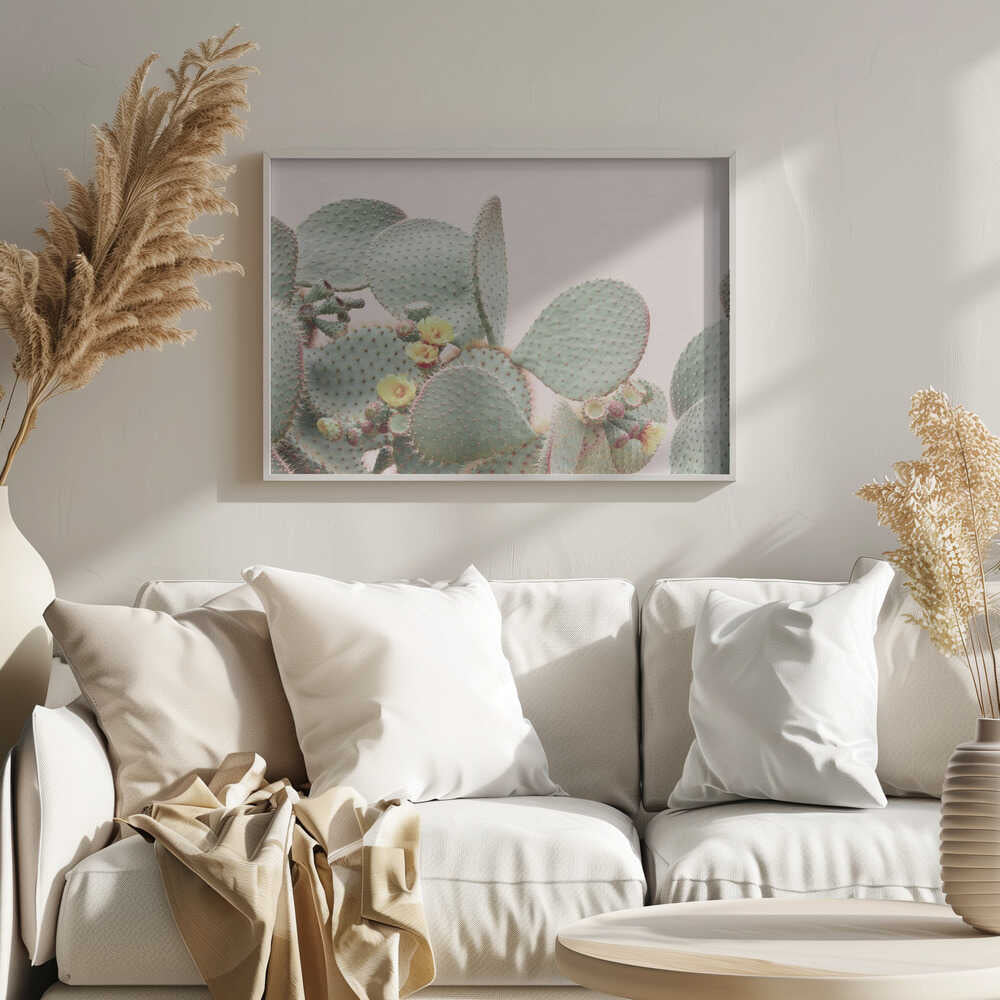 Blooming Cactus Poster