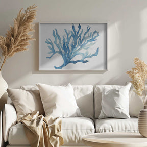 Blue Coral Poster