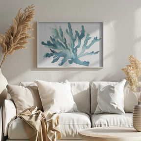 Turqoiuse Coral Poster