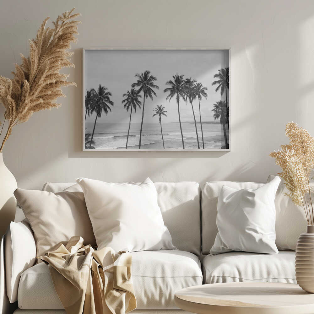 Palm Paradisebw Poster