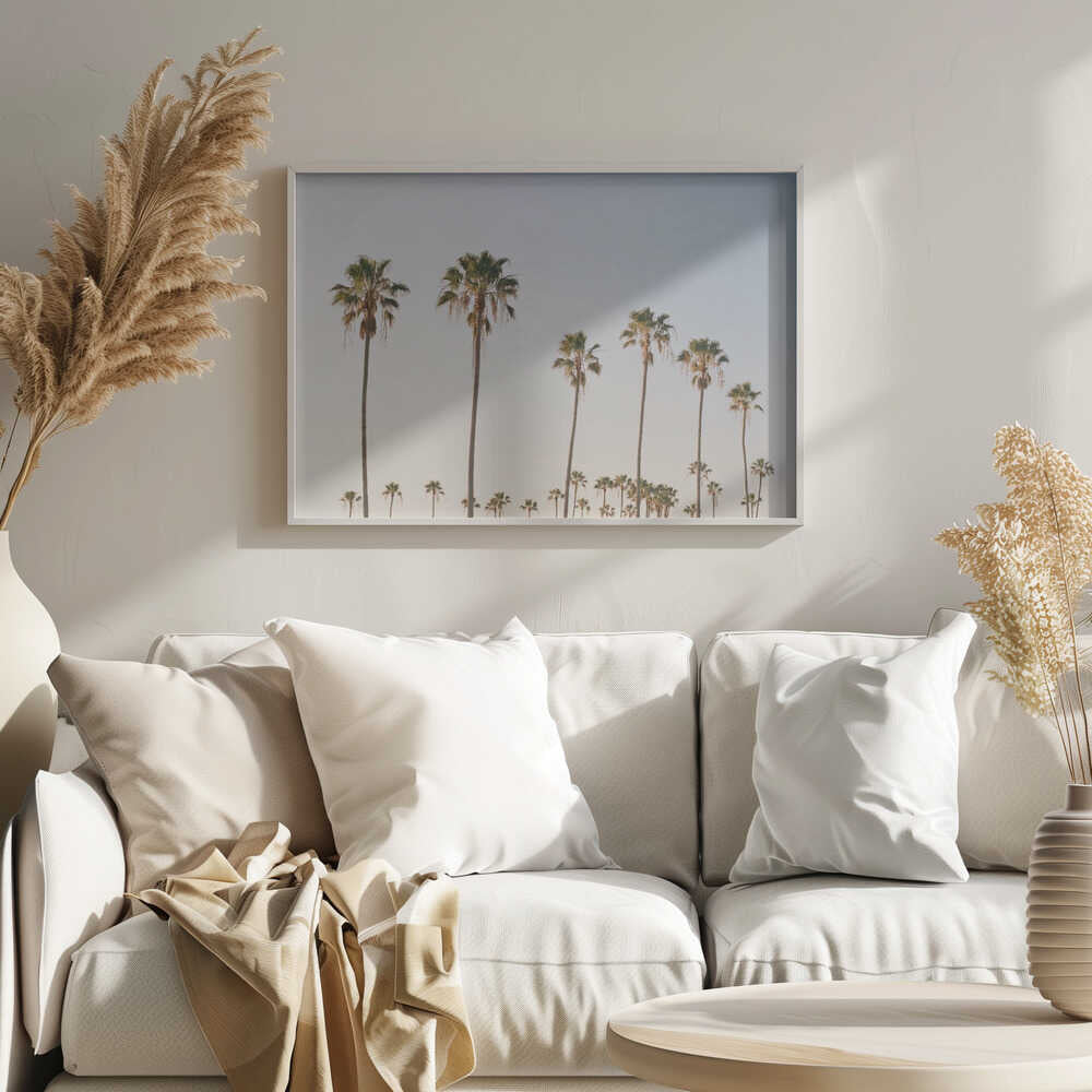 Palm Tree Alley Poster