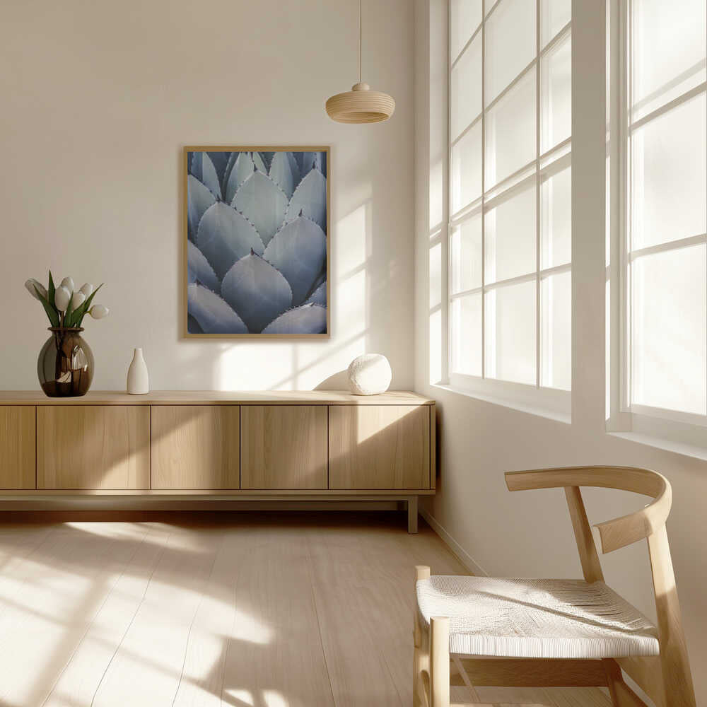 Agave Geometry Poster