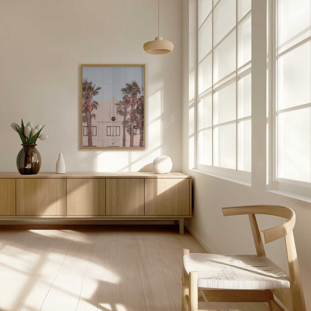 Palm Shadows Poster