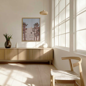 Palm Shadows Poster