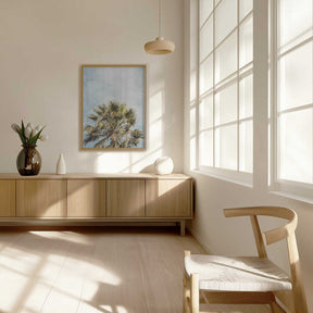 Sunlit Fronds Poster