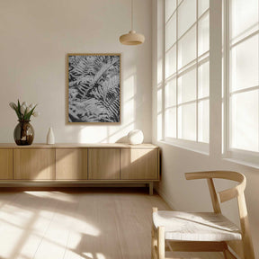 Whispering Ferns Poster