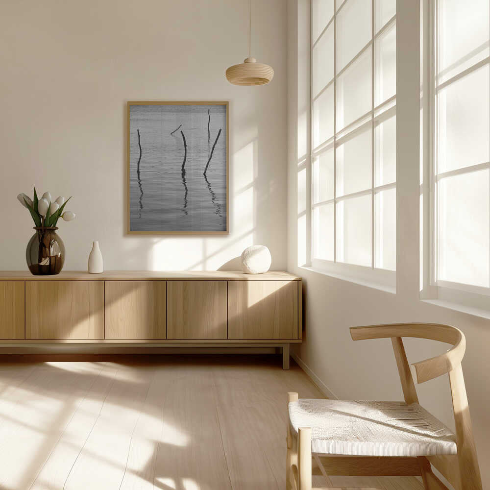Silent Reflections Poster