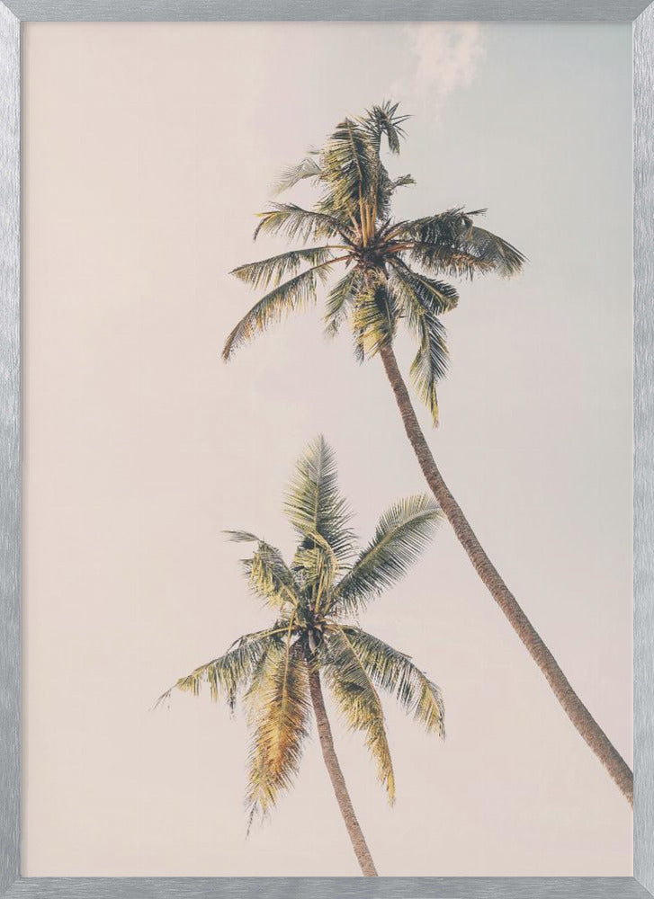 Tropical Palms Poster