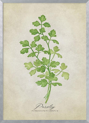 Parsley vintage Poster