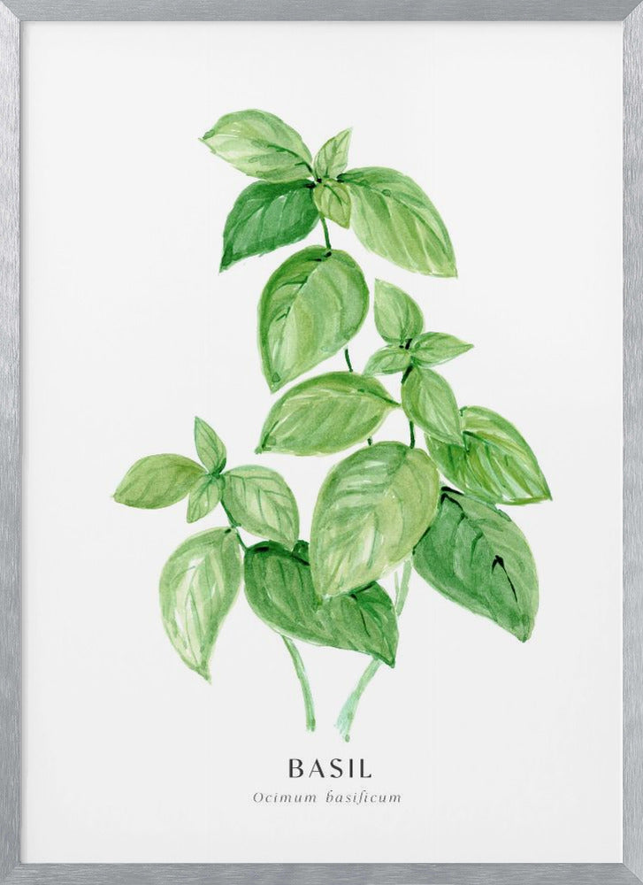 Basil I Poster